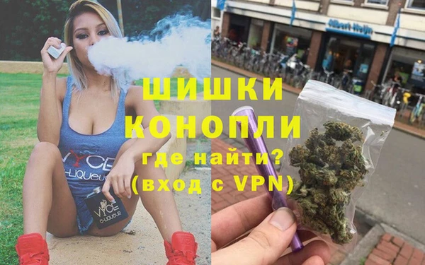 гидропоника Горнозаводск