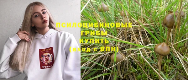 таблы Горняк